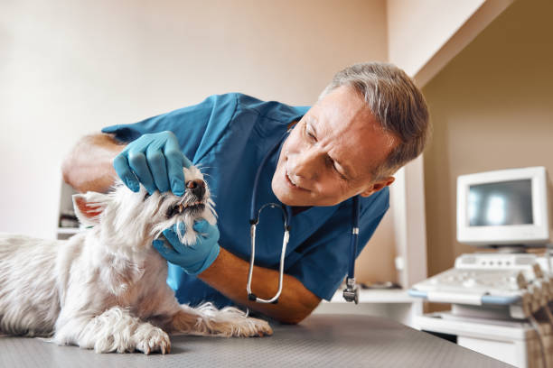 Best Emergency Tooth Extraction in Elgin, OR